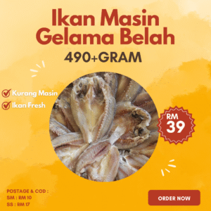 (490+ GRAM ) - IKAN MASIN GELAMA BELAH